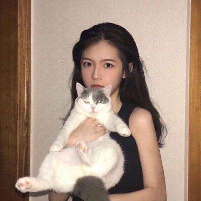 龙珠超z变态版下载